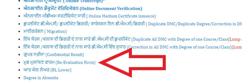 How to fill Revaluation Form Punjabi University Patiala Image-2